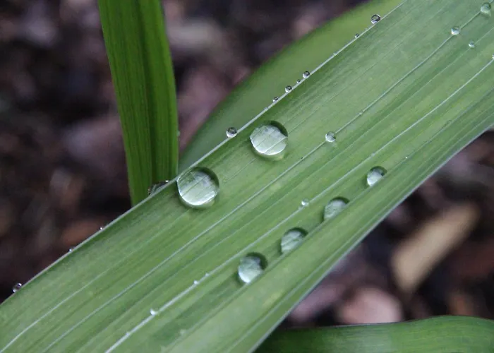 Apartamento Josef Pixner