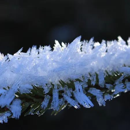 Apartament Josef Pixner *