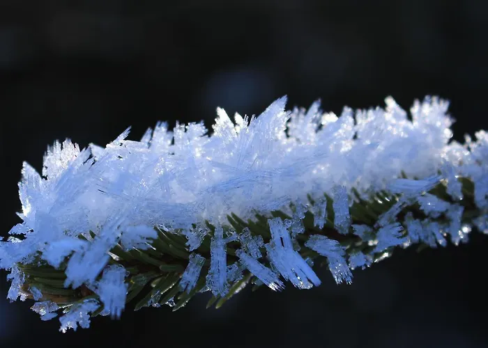 Apartament Josef Pixner *